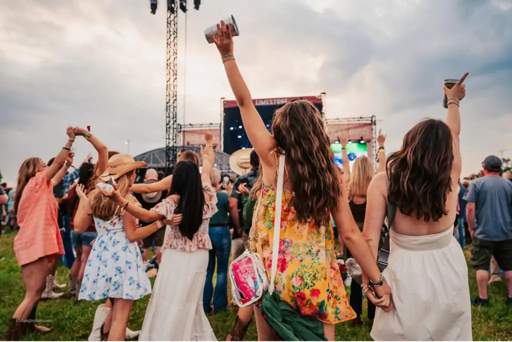 Fans enjoying Railbird Music Festival